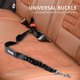 thumbnail image 4 of BRILLAR Cinturón de seguridad ajustable para perros y gatos - Seguridad mejorada con amortiguador elástico y mosquetón resistente - Negro 2, 4 of 4