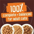 thumbnail image 4 of Friskies Gravy Pleasers Mega-Emballage Nourriture Pour Chats, 4 of 9