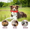thumbnail image 4 of Rubber Pet Chew Toy Teeth Cleaning Toy for Medium/Large Dog Bottle Shaped, Red, 4 of 7