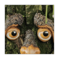 thumbnail image 4 of Unique Bird Fed Tree Face, 4 of 5