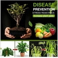 thumbnail image 6 of Soil Activator, 120g Organic Soil Activator & Plant Fertilizer for Raised Garden Beds, Prevent Compaction, Promote Plant Rooting, 6 of 7