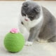 thumbnail image 4 of Juguete para gatos Juguete de bola para gatos para gatos de interior, hierba gatera en el i Eccomum Bola de sisal, 4 of 7