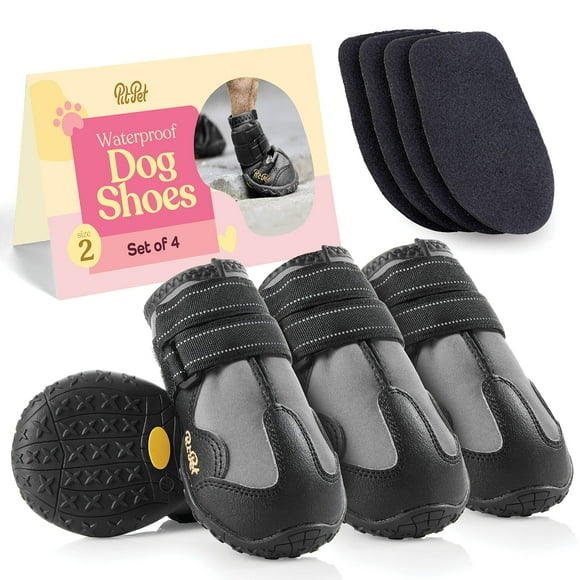 Chaussure pour Chien