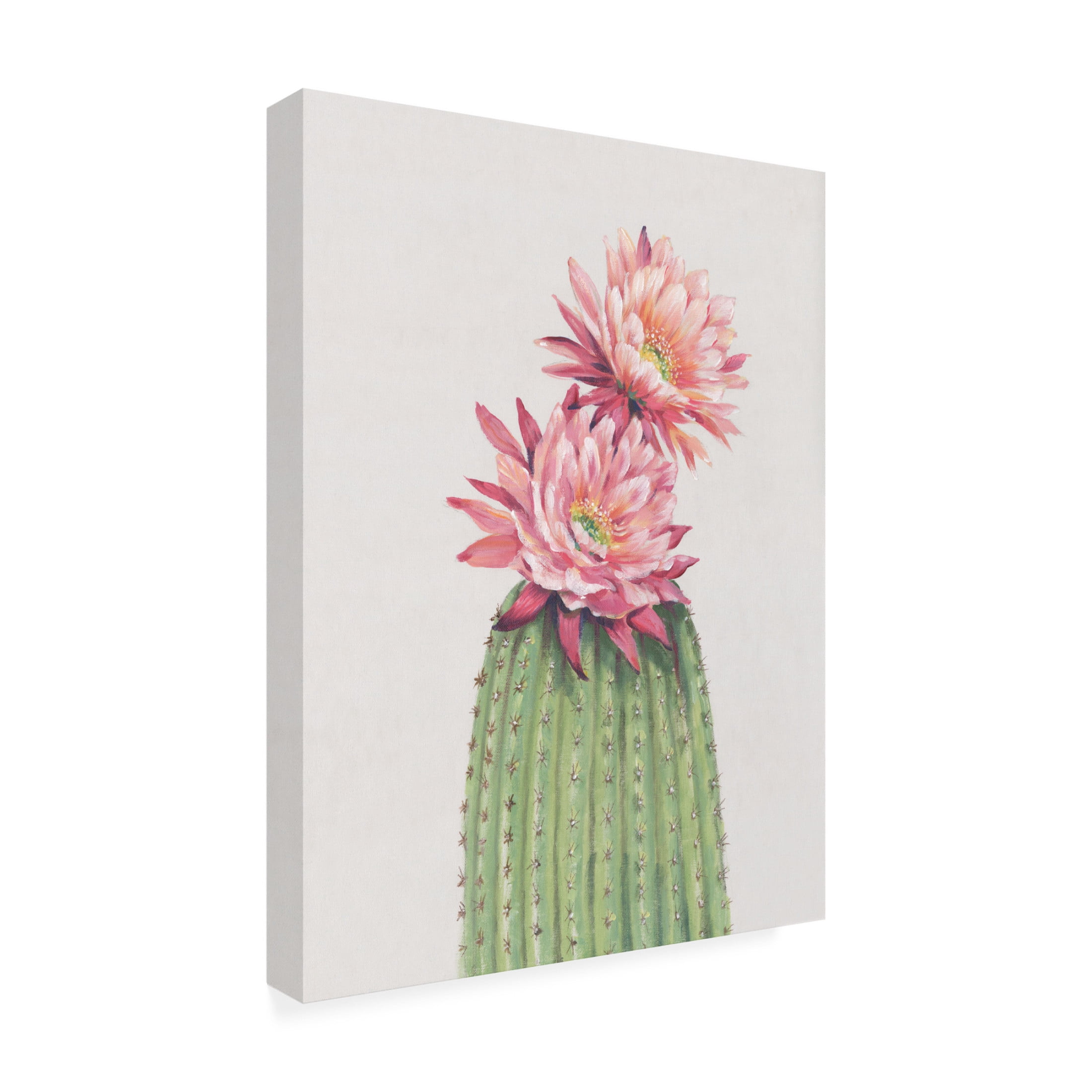 Canvas Wall Art - Tim OToole 'Cactus Blossom II' Wall Art for Living Room, Bedroom, or Office Décor by Trademark Fine Art - 18 x 24 Inches