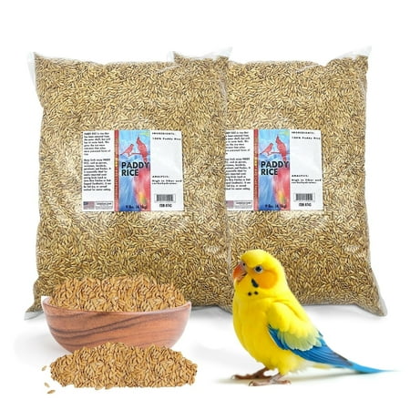 Morning Bird Paddy Rice 18 lbs (2-Pack, 9 lbs Each) – High-Quality Bird Seed for Optimal Health & Nutritious Pet Bird Food – Supports Feathers & Immunity – Ideal for all Seed Eating Birds