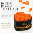 thumbnail image 2 of GLAMOUR BOUTIQUE 16-Piece Forever Flowers Heart Shape Box - Preserved Roses, Immortal Roses That Last A Year - Eternal Rose Preserved Flowers for Delivery Prime Mothers Day & Valentines Day - Orange, 2 of 9