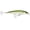 Pilchard, variant on Rapala X-Rap Saltwater 12 Jerkbait Fishing Lure 4.75" 3/4oz Olive Green