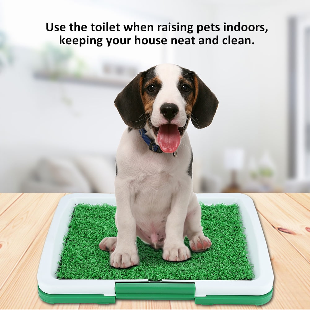 potty mat