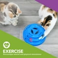 thumbnail image 2 of Pet Zone Busy Ball Three Tier Tower Track Interactive Toy Cat and Kitten Toy, 2 of 5