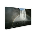thumbnail image 2 of Trademark Fine Art 'Power of Water' Canvas Art by Mathieu Rivrin, 2 of 3