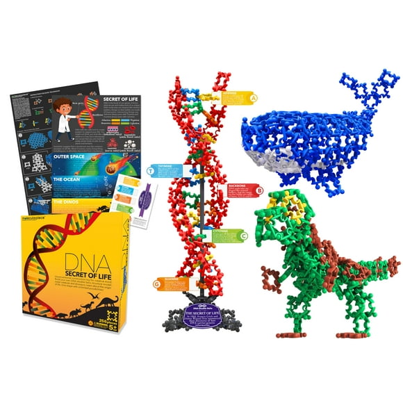 molecularpiece: Secret of Life 3 in 1 (256 pcs) 4D STEM Educational Building Toy Kit | DNA Double Helix Structure Model + Marine Life + Dinosaur | Origin of Life | Evolution | Creative Science for Kid