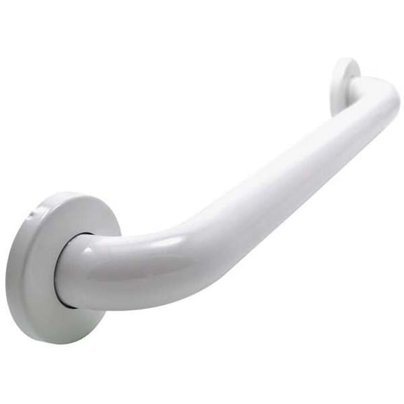 Polyester Painted Grab Bar, 42" L, Stainless Steel, Poly Painted