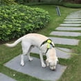 thumbnail image 4 of HAHDAXIA No Pull Dog Harness with Handle Reflective, Small, Green, 4 of 7