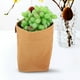 thumbnail image 5 of Bolsa de papel kraft kraft kraft de almacenamiento de papel bolsita para frutas vegetales para despensas para despensas, 5 of 7