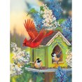 thumbnail image 1 of Taladro Diamante Pintura (DE4271) 5D DIY Pájaros completos Bordado de punto de cruz (B361) 30x40cm FLhrweasw Nuevo, 1 of 1