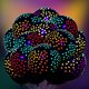 thumbnail image 4 of BESTYASH 50Ud Globos De Látex Neon Para Interior Y Exterior Con Brillo En Y Colores Vibrantes, 4 of 7