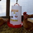thumbnail image 3 of Farm Innovators HPF-100 Heated Hanging Poultry Water Fountain, Red (3 Pack), 3 of 7