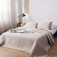 Kasentex Plush PolyVelvet Lavish Design Quilt Set with Brushed