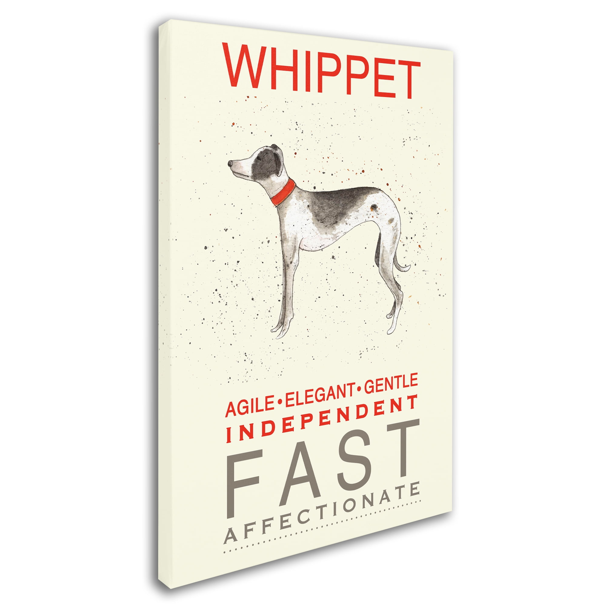 Trademark Fine Art 'Whippet Print' Canvas Art by Michelle Campbell
