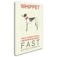 thumbnail image 2 of Trademark Fine Art 'Whippet Print' Canvas Art by Michelle Campbell, 2 of 3