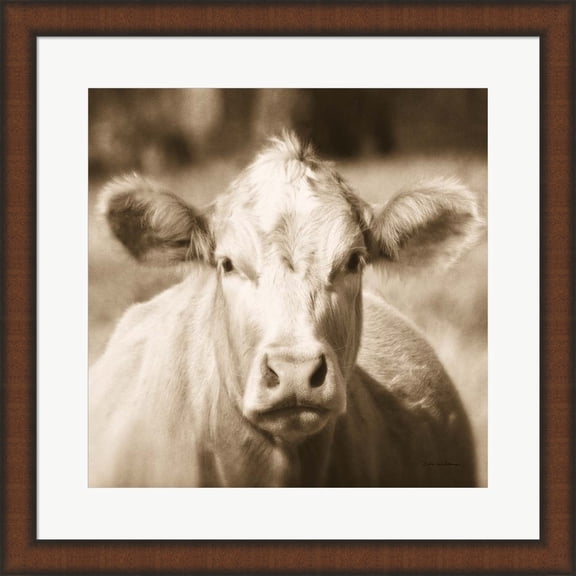Great Art Now Pasture Cow Sepia Sq by Debra Van Swearingen, Framed Wall Art, 19.75W x 19.75H