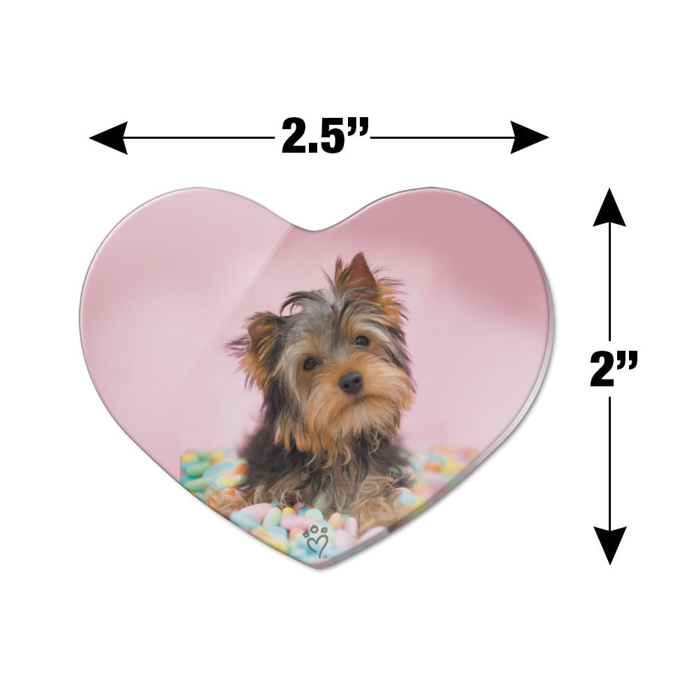 do yorkies get stuck when mating