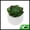 Plant Type 7, variant on Unique Bargains Fake Succulent Plant Office Desk Decor Accessories Plant Type 2