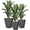 Gray 493, variant on Tall Planters for Outdoor Patio, Set of 3 Black Plastic Flower Pots with Drainage Holes for Indoor Porch, Deck, Entryway Decor