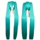 thumbnail image 3 of Vocaloid Hatsune Miku Wig Beginner Future Cosplay Wig With 2 Ponytail Long Straight Wigs, 3 of 4