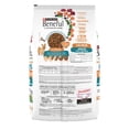 thumbnail image 2 of Alimento seco para perro Purina Beneful Adulto Minis Salmón 2kg, 2 of 6