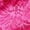 Hot Pink, variant on Underwear for women mesh panties – Sexy sheer lace low-rise panties for women, breathable see-through underwear for summer, date night, or everyday wear
