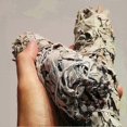 thumbnail image 4 of 40-Piece Natural White Sage Smudge Sticks, California Pure Leaf for Spiritual Home Cleansing & Purification, Sage Incense Sticks, 4 of 5
