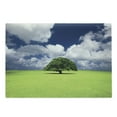 thumbnail image 1 of Nature Cutting Board, Single Old Tree on Wide Grass Field Fluffy Clouds Sunny Summer Day Cloudscape Print, Decorative Tempered Glass Cutting and Serving Board, Large Size, Green Blue, by Ambesonne, 1 of 1