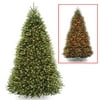 National Tree Company Clear Prelit LED Green Fir Christmas Tree, 10'