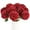 Burgundy, variant on 12 Pcs Artificial Chrysanthemums Flowers Ball Flowers, Fake Mums Silk Plants for Home Decor Indoor Floral Arrangement Table Centerpiece (12, Champagne)