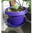 thumbnail image 3 of Austin Planter 12 Inch Flower Pot with Saucer Purple Colored Polypropylene (5 Pack) Made in USA, 3 of 9