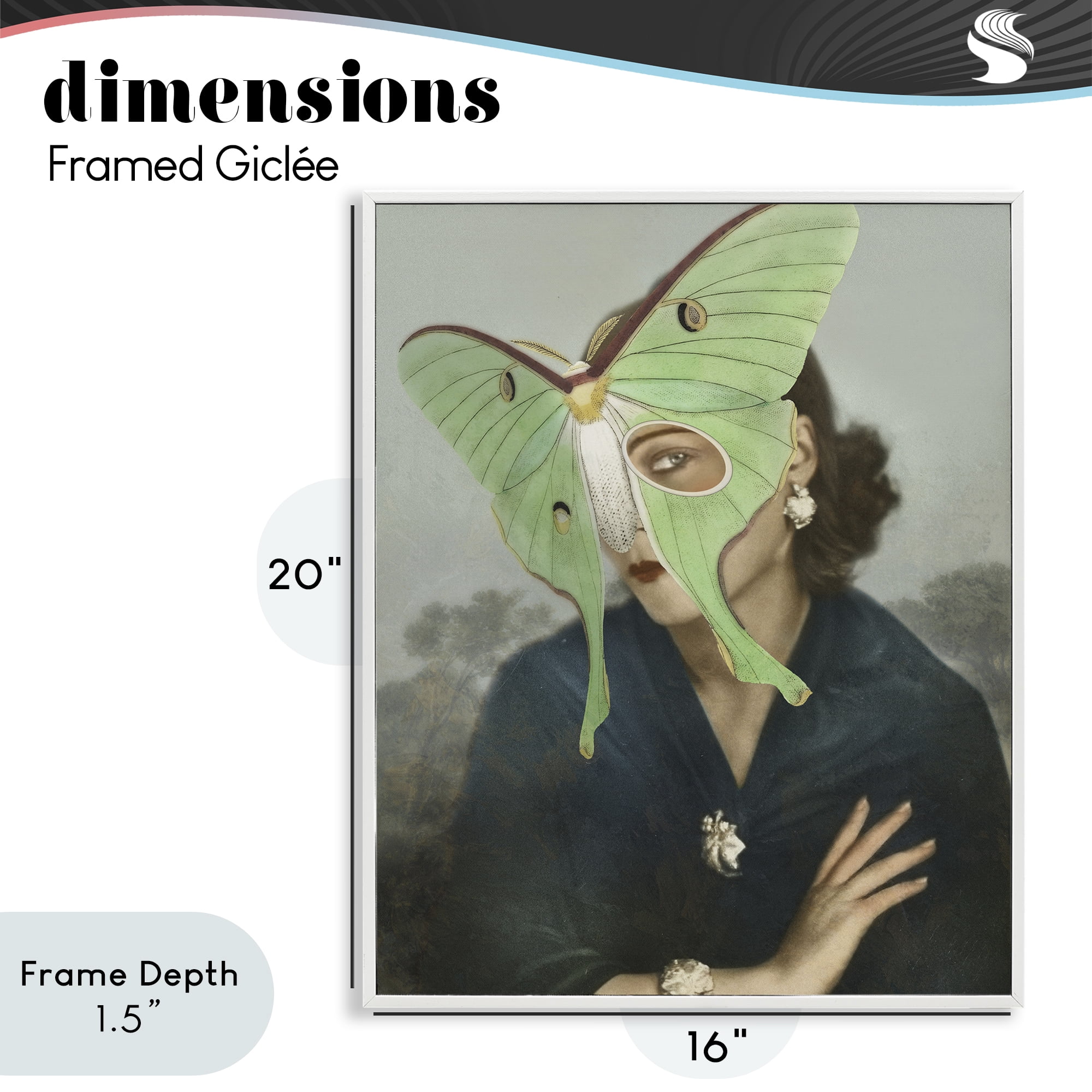Stupell Industries Naturalist Portrait with Moth White Framed Giclee Art, design by Victoria Barnes