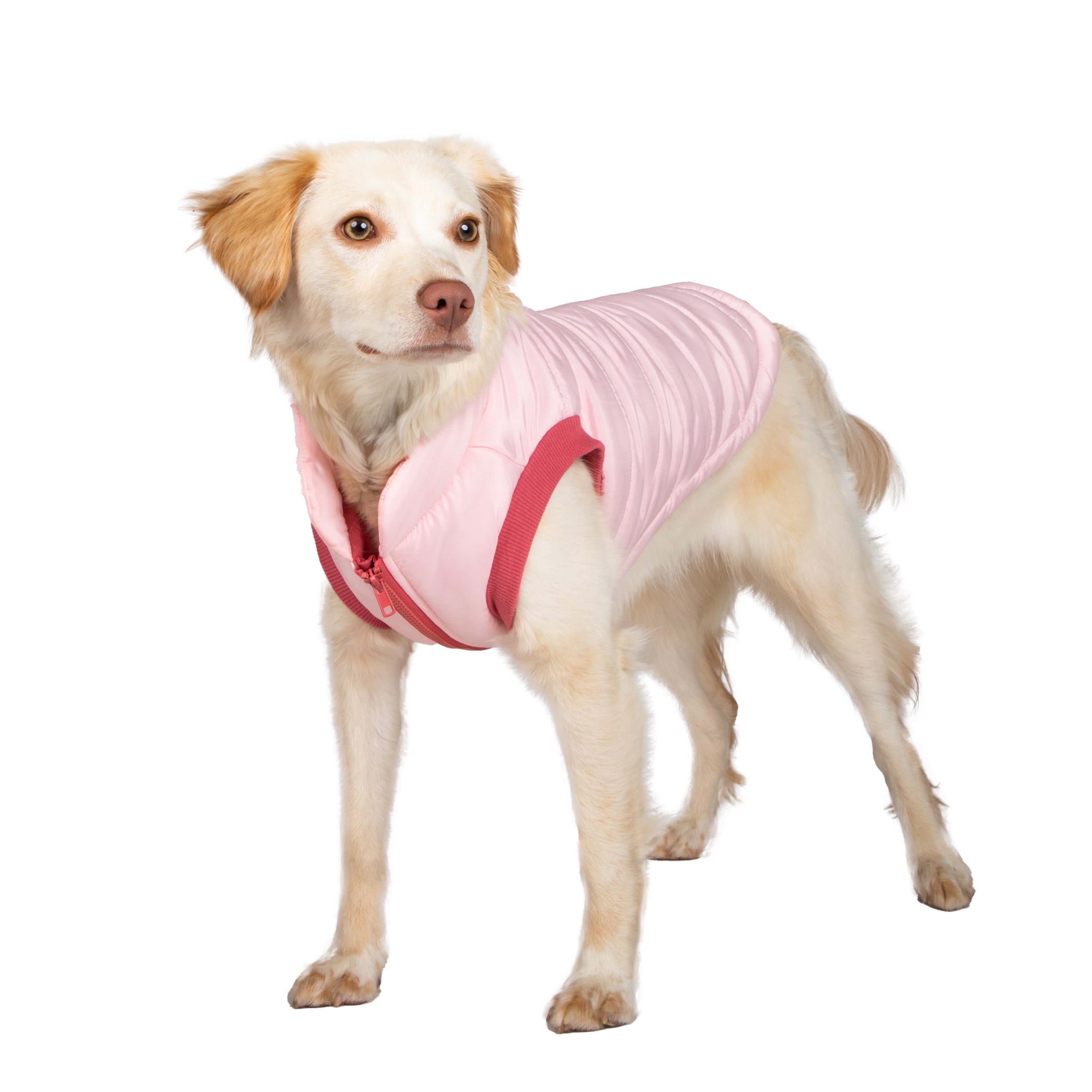Gap Pet, Dog Clothes, Pink Bomber Pet Jacket