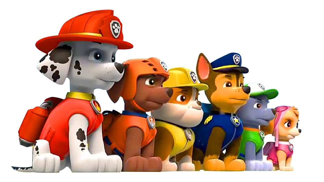 paw patrol 3 dvd set
