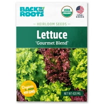 Back to the Roots Organic Mixed Lettuce 'Gourmet Blend', 1 Seed packet