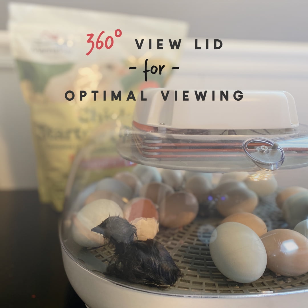 Buy Manna Pro Harris Farms Nurture Right Egg Incubator, 360