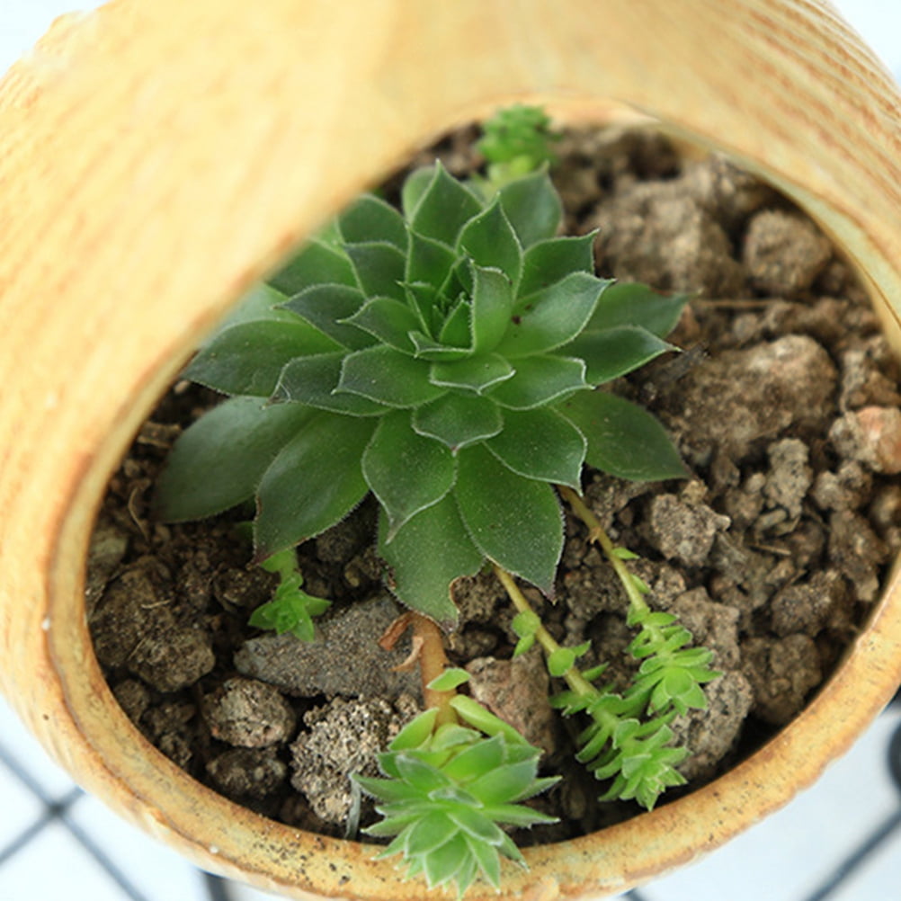 FRCOLOR Ceramic Hanging Basket for Plants Suitable for Home Office Decor Mini Planter 4.5 inch