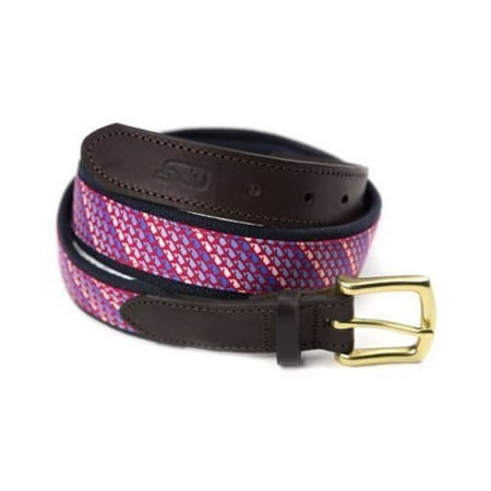 Men's Ombre Whale Canvas Club Belt in Pink Sky