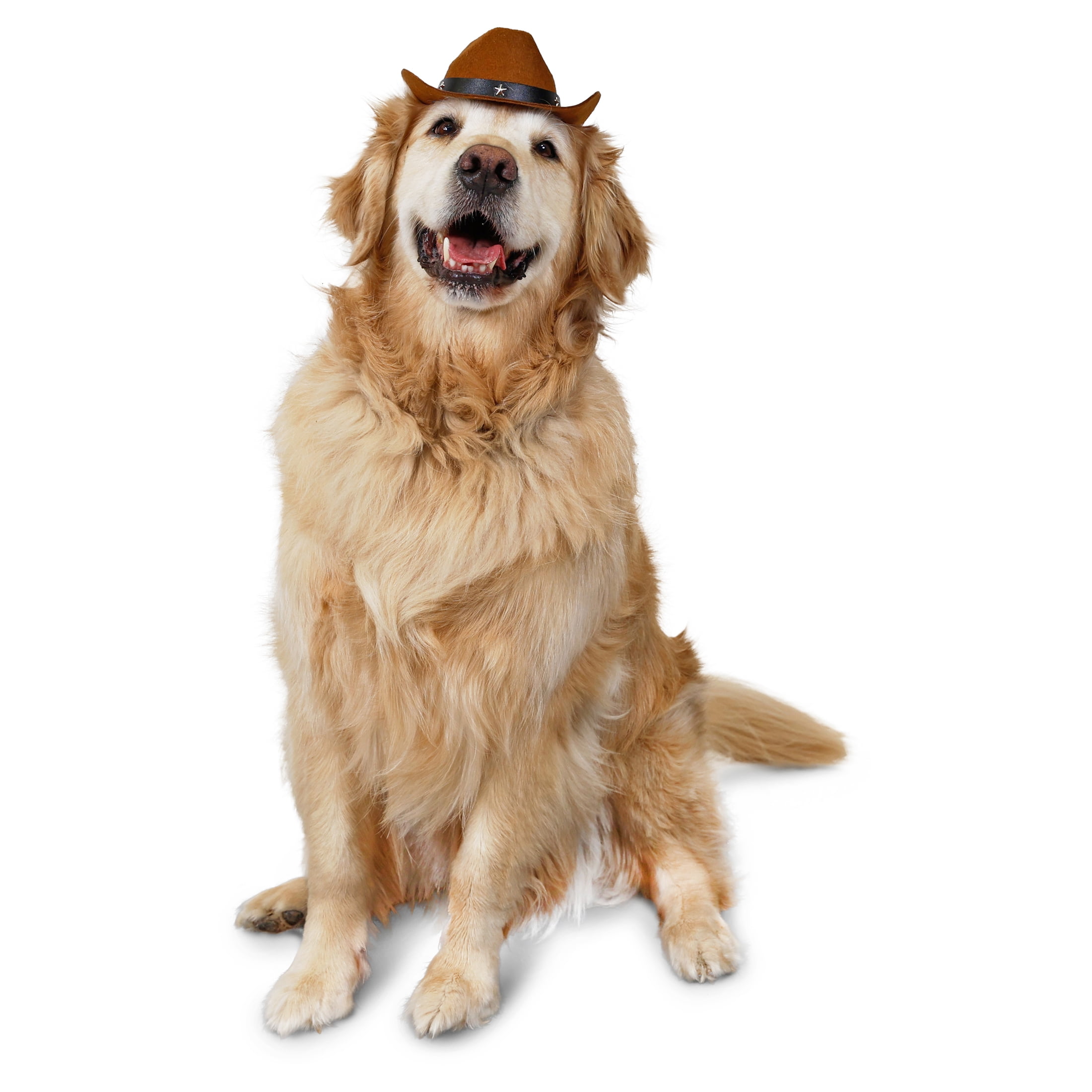 Vibrant Life Halloween Cowboy Hat Costume for Dogs, Brown, Medium/Large