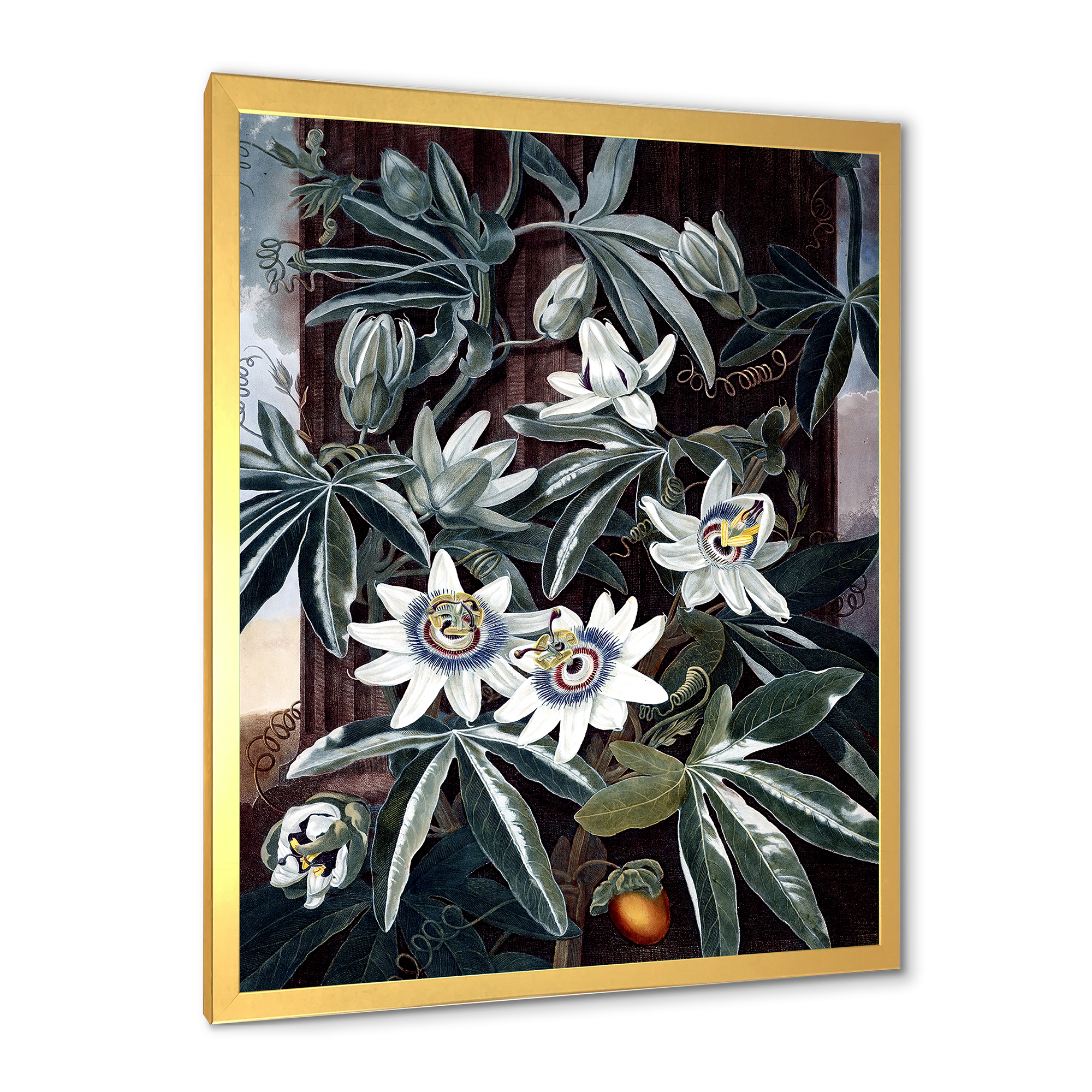 Designart 'Ancient Flowers I' Traditional Framed Art Print