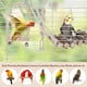 thumbnail image 3 of Juguetes para Cacatúa Interactivos de 9 Piezas de Bargains Únicos Juguetes para Loro Juguetes de Madera y Cuerda Accesorios para Jaulas de Periquitos Color Madera, 3 of 7