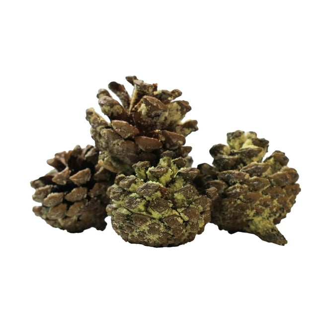 Get Stoked! Funky Colored Pine Cones + Changes The Color of Your Fire + 10 Pieces per Pack + Color Lasts Up To 30 Minutes