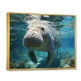 thumbnail image 2 of Designart "Turquoise Majesty of the Grey Manatee" Animals Floater Framed Wall Art Living Room, 2 of 7