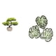 thumbnail image 1 of Árbol bonsái artificial,Árbol bonsái artificial para decoración de escritorio de interior y hogar,Árbol bonsái falso Planta falsa en maceta Planta falsa,Placa de pared con hojas de, 1 of 8