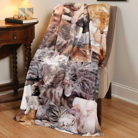 How to knit a cat blanket for Battersea Dogs and Cats Home